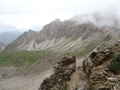 Furcella Nives