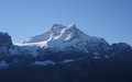 Schärhorn