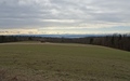 Randen
