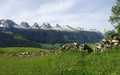 Churfirsten