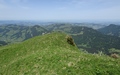 Hinderfallenchopf, Hochalp