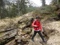 Afdaling door het bos