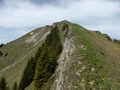 Schimbrig berggraat
