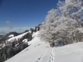 Winterlandschap