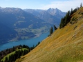 Walensee