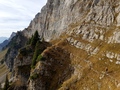 Züsler Highway