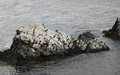 Bow Fiddle Rock