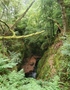 Finnich Glen