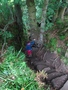 Finnich Glen