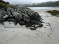 Silver Sands of Morar