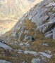 Piz Vallatscha