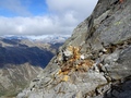 Piz Vallatscha