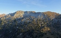 Seehore