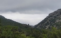 Selvaggio Blu