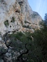 Selvaggio Blu