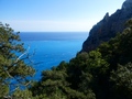 Selvaggio Blu