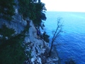 Selvaggio Blu