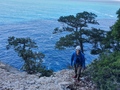 Selvaggio Blu