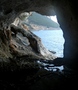 Selvaggio Blu