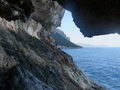 Selvaggio Blu
