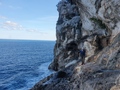 Selvaggio Blu