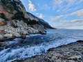 Selvaggio Blu