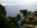 Selvaggio Blu