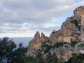 Selvaggio Blu