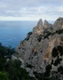 Selvaggio Blu