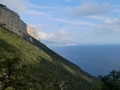 Selvaggio Blu