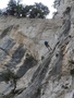 Selvaggio Blu