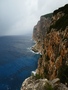 Selvaggio Blu