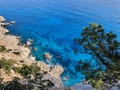 Selvaggio Blu