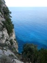 Selvaggio Blu