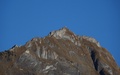Sichelchamm