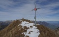 Sichelchamm