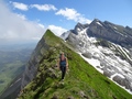 Grüehorn