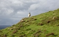 Bealach Cumhang