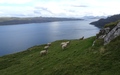 Bealach Cumhang