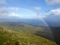 Regenboog