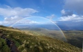 Regenboog