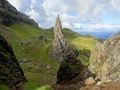 The Needle