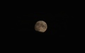 Volle maan