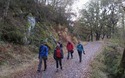 Afdaling door het bos