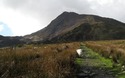 Moel Siabod