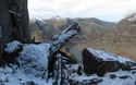 The Cannon