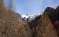 Herfst en winter