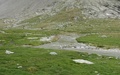 Ofental
