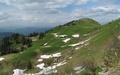 Bütz