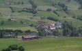 Stein